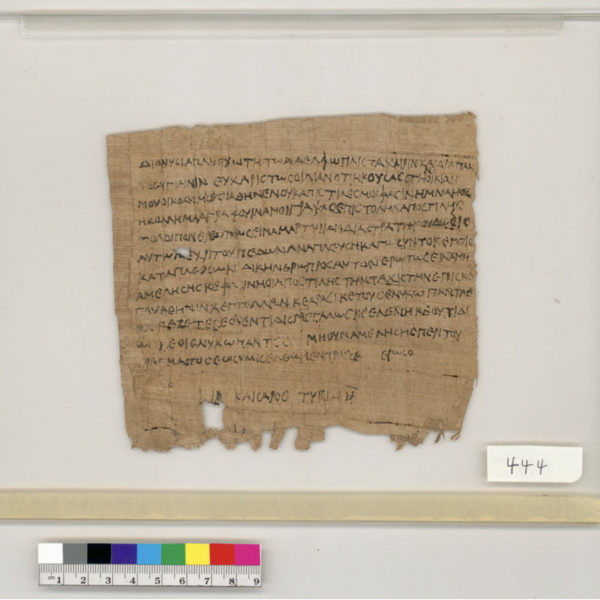 Thus they wrote: The papyri at Olin Library