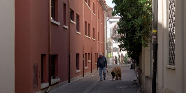 A man and dog walk down a narrow street between tall buildings
