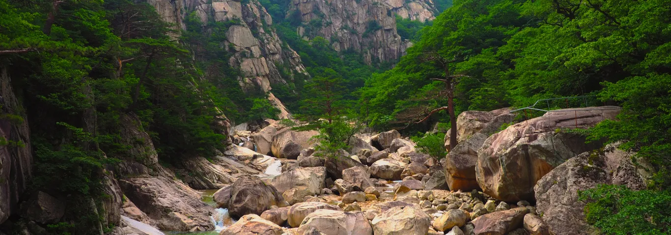 ‘Kasa’: Celebrating women’s journeys in Korea