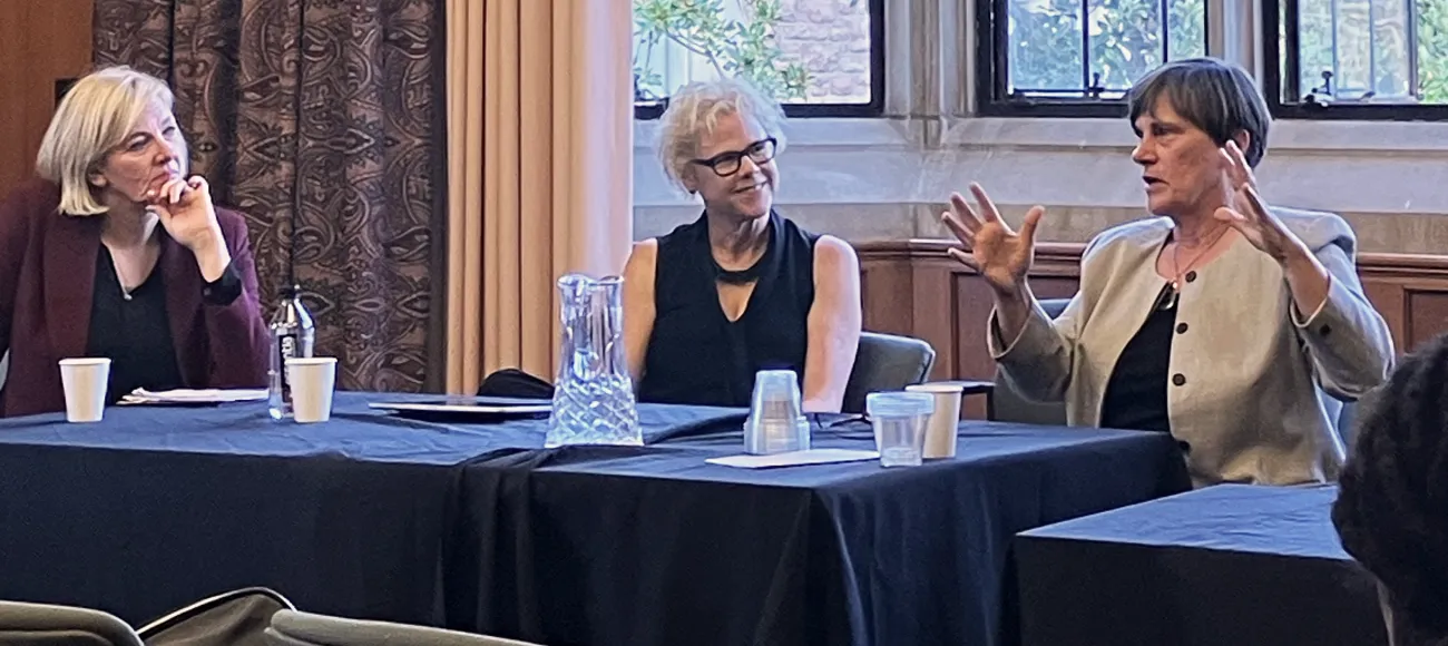 Photo of Panel 5: Reflections and Next Steps 