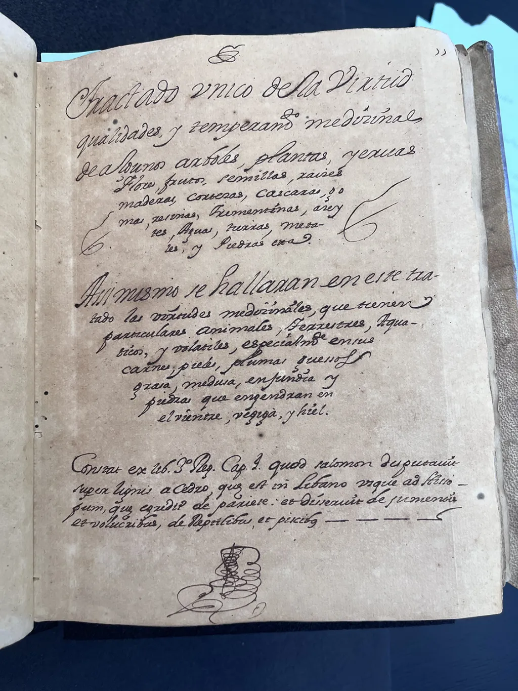 "A handwritten manuscript page from the 18th-century document, Compendium of Herbal Medicine"