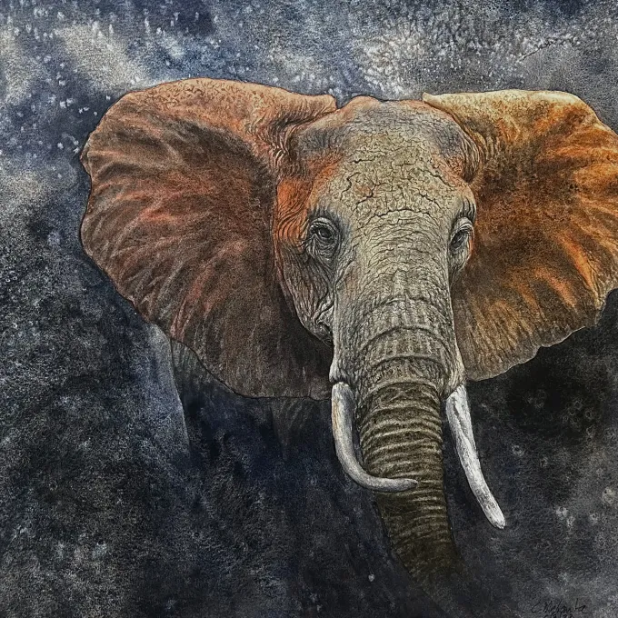 image of an Indian elephant